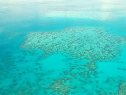 Gran Barrera de Coral